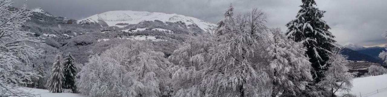 Готель Garni Fobbie Брентоніко Екстер'єр фото