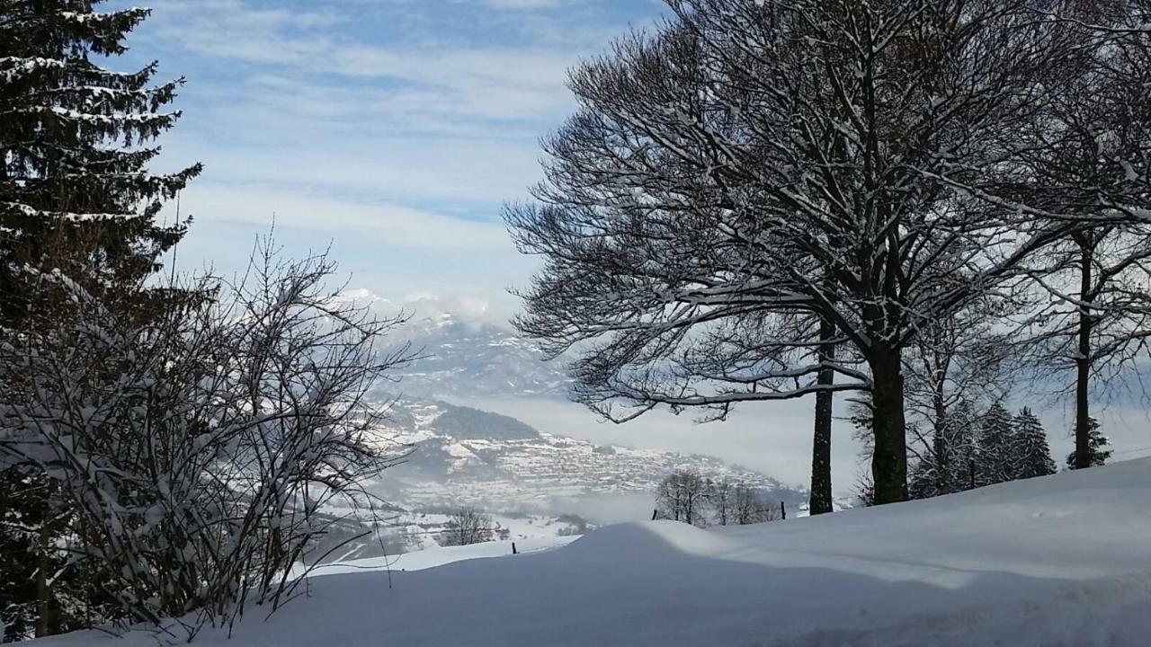 Готель Garni Fobbie Брентоніко Екстер'єр фото